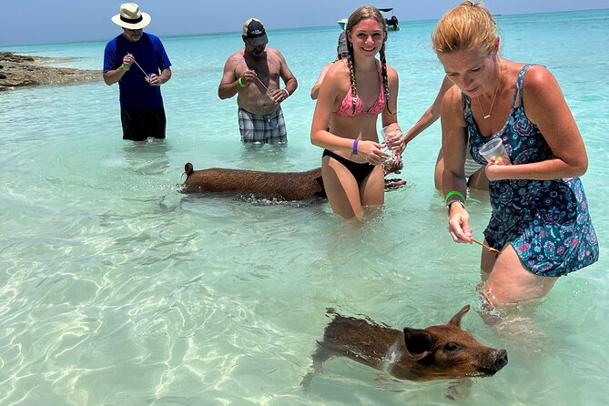 007 Private Beach Club -Swimming Pigs, Snorkeling, Lunch, Drinks - From Paradise Island to Rose Island Reef