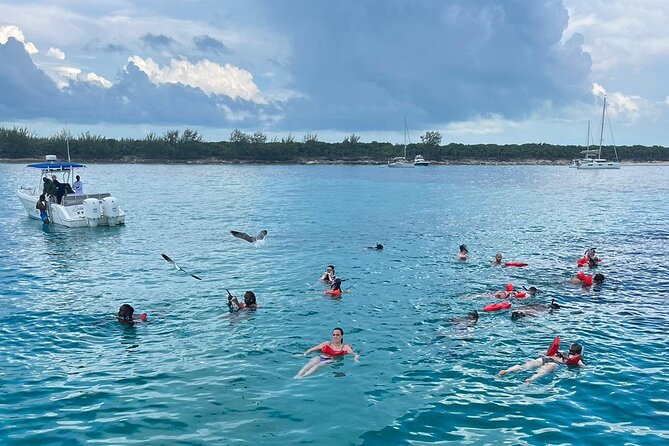 007 Private Beach Club -Swimming Pigs, Snorkeling, Lunch, Drinks - Timing, group size, and the real-world logistics