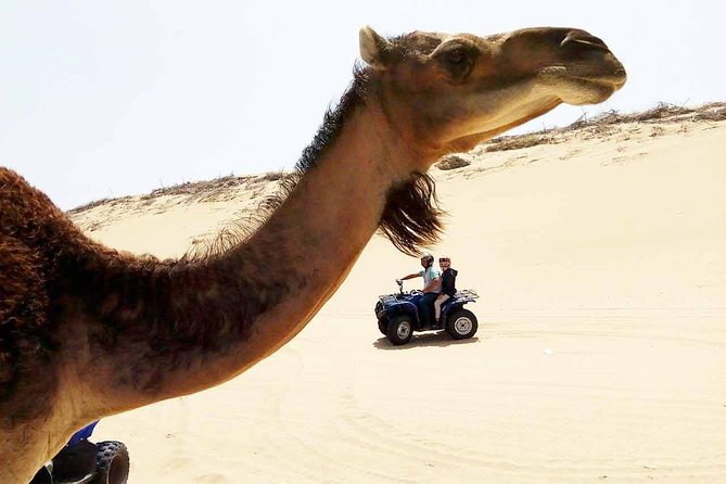 1h quad bike on the beach - Getting Comfortable on the Quad Before You Leave