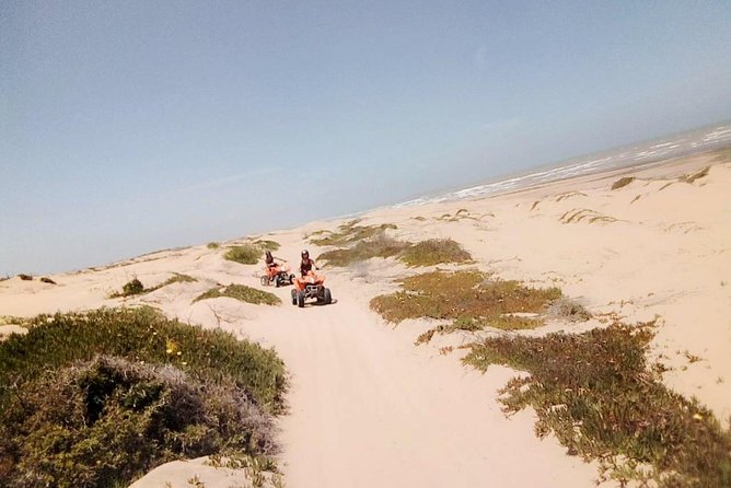 1h quad bike on the beach - Forest Tracks, Dunes, and Beach in One Hour