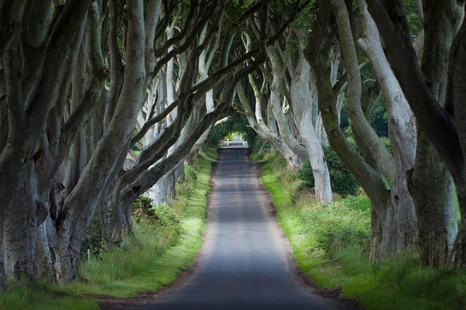 2-Day 'Game of Thrones' Rail Tour from Dublin Incl. Belfast and Giant's Causeway - The early train from Dublin to Belfast