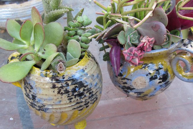 2- Hour Pottery Workshop and Studio Tour in Ojai - Making four or five pieces in two hours