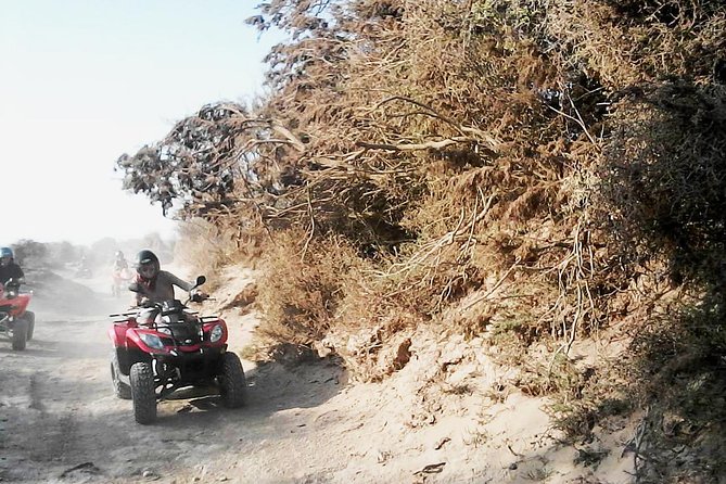 2h quad bike on the beach and in the dunes - What the $58.16 price gets you