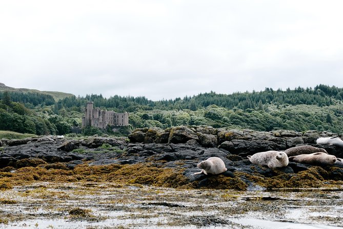 3-Day Isle of Skye, 'Hogwarts Express' Train and Highlands Tour - Day Three: Eilean Donan, rewilding, and Loch Ness