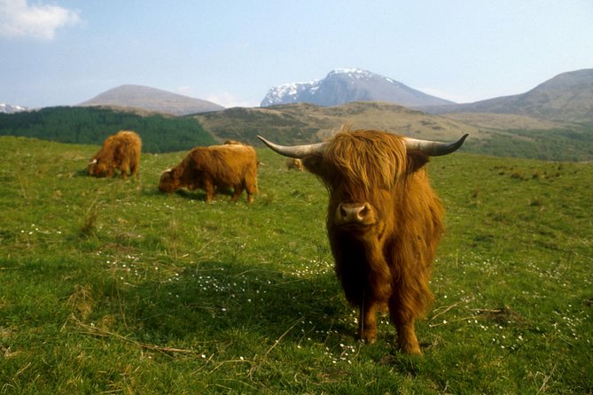 3-Day Isle of Skye, 'Hogwarts Express' Train and Highlands Tour - How much driving is involved?