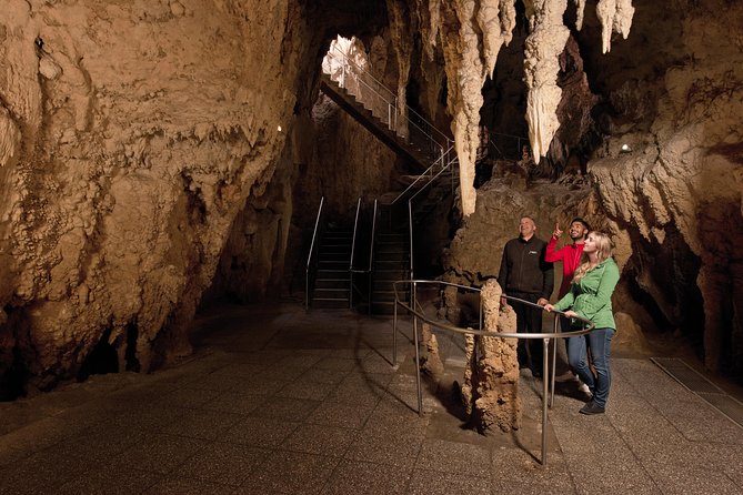 3 Day Waitomo Caves, Hobbiton Movie Set and Rotorua Tour from Auckland - The return to Auckland is useful but not glamorous