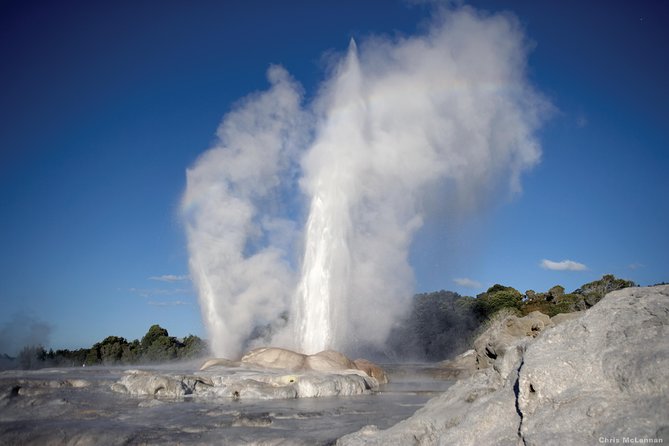 3 Day Waitomo Caves, Hobbiton Movie Set and Rotorua Tour from Auckland - Te Puia connects geothermal power with Māori culture