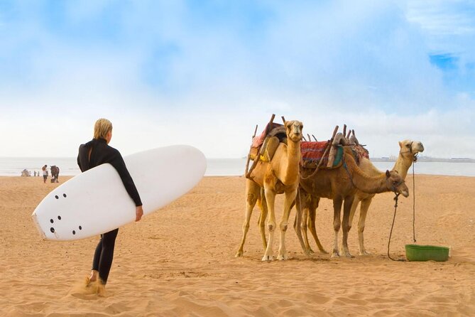 3h quad bike: Thrills in the beach and dunes - What the three-hour ride is really like