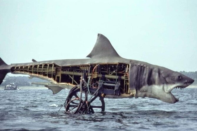 4 hours Hop-on Hop-off Jawsome Jaws Tour - Timing, comfort, and practical details