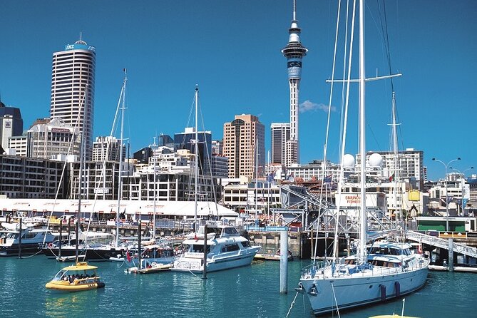 5-Day Bay of Islands, Auckland, Hobbiton, Rotorua & Waitomo Tour - Hotels, transfers, and group size