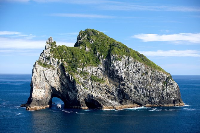 5-Day Bay of Islands, Auckland, Hobbiton, Rotorua & Waitomo Tour - Who will get the most from this trip