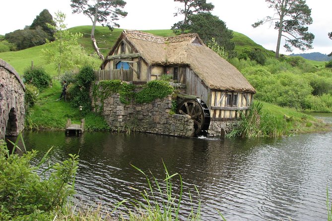 6hr Hobbiton Movie Set Tour - Departs Tauranga - Timing, weather, and the cruise-ship restriction