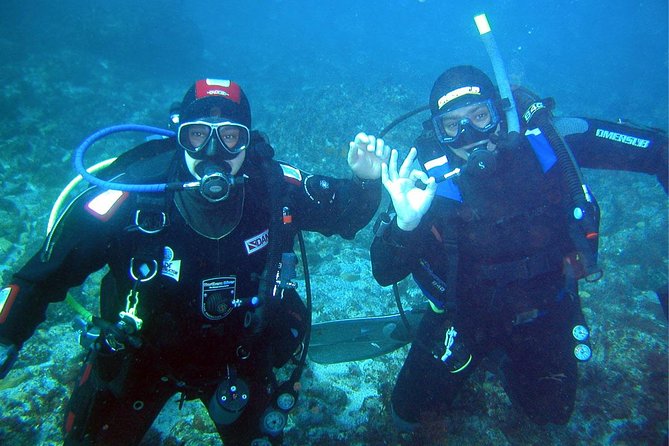 A day at the beach and diving - A private sea day built around Ribeira do Cavalo