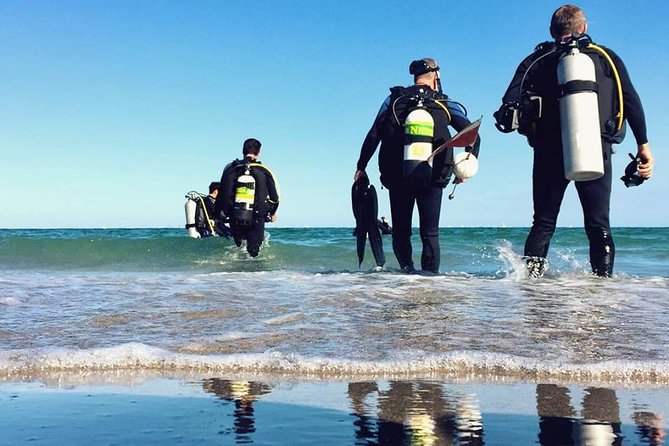 A day at the beach and diving - Starting at Sesimbra Marina