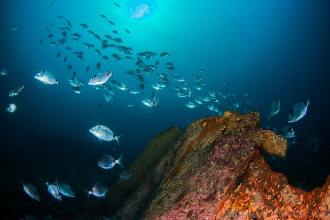 A day at the beach and diving - How the scuba option works