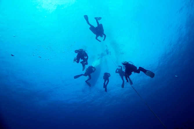 A day at the beach and diving - Timing, weather, and cancellation details