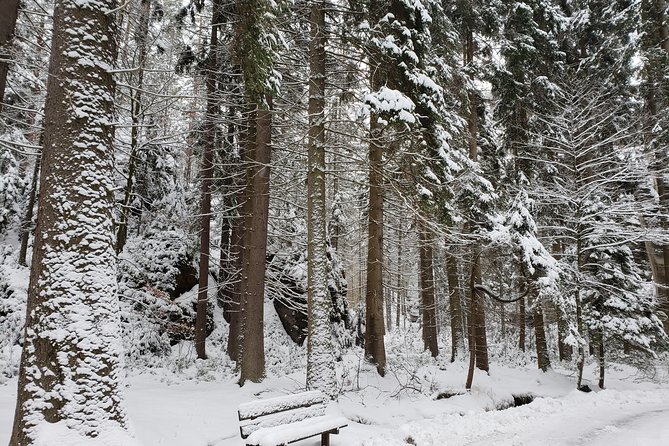 Adrspach Teplice Rocks Filming Site of The Chronicles of Narnia - Is the $132.16 Price Fair?
