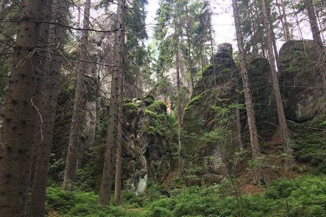 Adrspach Teplice Rocks Filming Site of The Chronicles of Narnia - Who Will Enjoy This Day Trip Most?