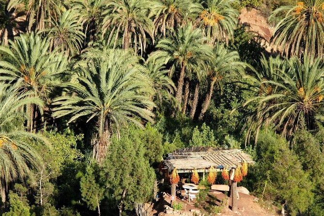 Agadir Quad Biking on the Beach & Sandboarding in the Desert - Learning to sandboard without overthinking it