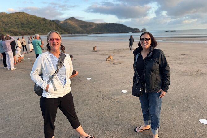 Airlie Beach: Kangaroos on the Beach at Dawn - The Drovers Breakfast on the beach