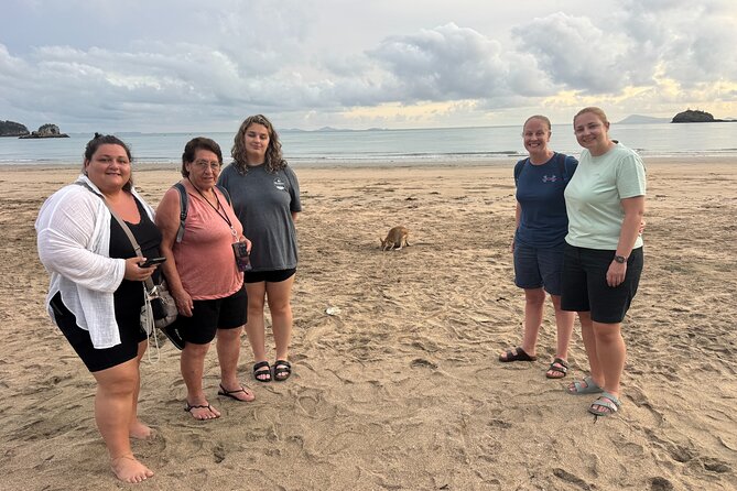 Airlie Beach: Kangaroos on the Beach at Dawn - The practical tradeoff: time, comfort, and access