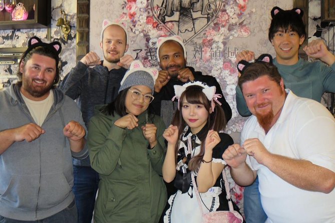 Akihabara Anime & Game Adventure Walking Tour (Group or Private) - Akihabara in three hours: what this tour is really offering