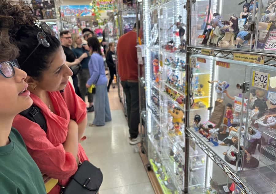 Akihabara: Private Anime and Pop Culture Tour - Is $95 a fair price?