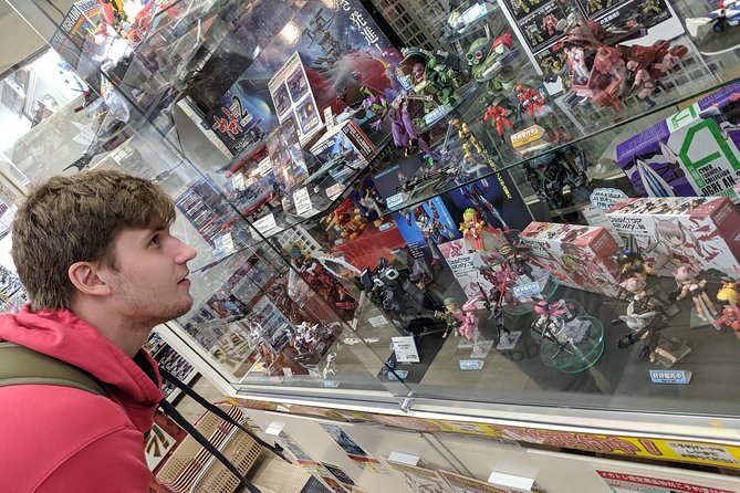 Akihabara Tailor-made Private Tour for Anime Fans - Why a private Akihabara tour can make sense