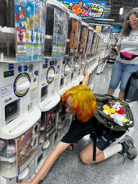 Akihabara Tailor-made Tour for Anime Fans - Walking, access, and the pace of the day