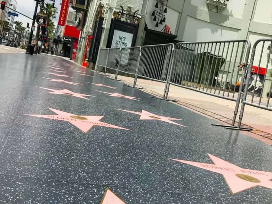 Anaheim: Hollywood Grand Tour with Hotel Pickup - A full day from Anaheim to Los Angeles