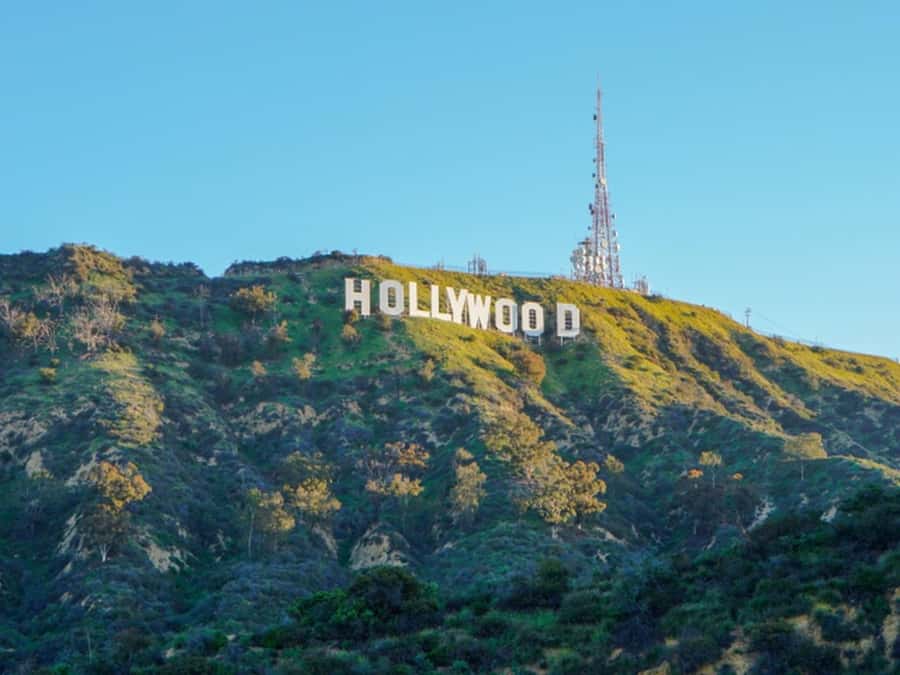 Anaheim: Hollywood Grand Tour with Hotel Pickup - Hollywood Boulevard and the Chinese Theater
