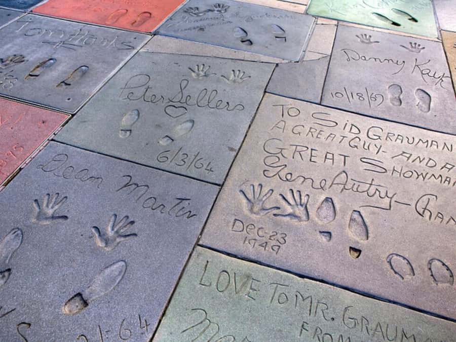 Anaheim: Hollywood Grand Tour with Hotel Pickup - Venice Beach, Muscle Beach, and street life