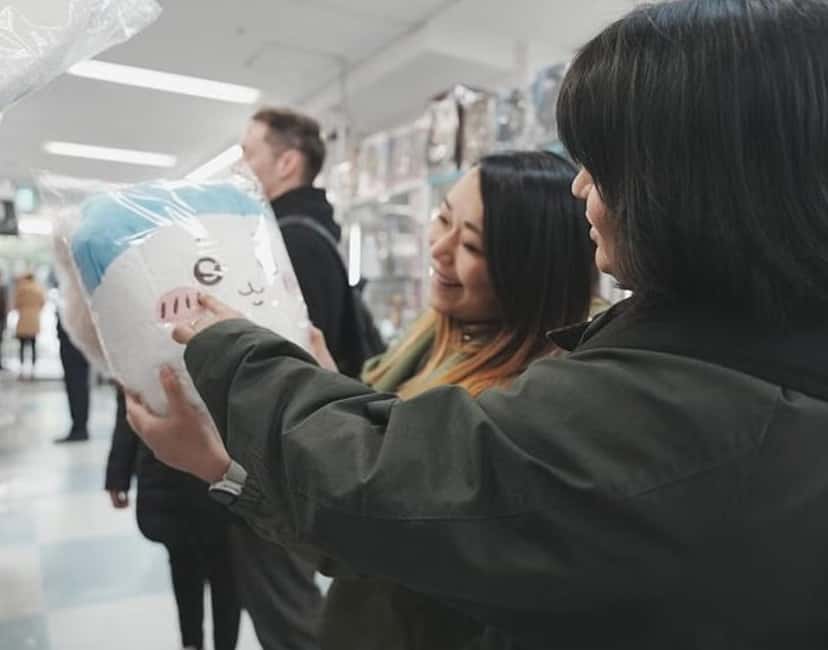 Anime & Manga Lovers Akihabara Tour – Private Tour - Who will get the most from this private route