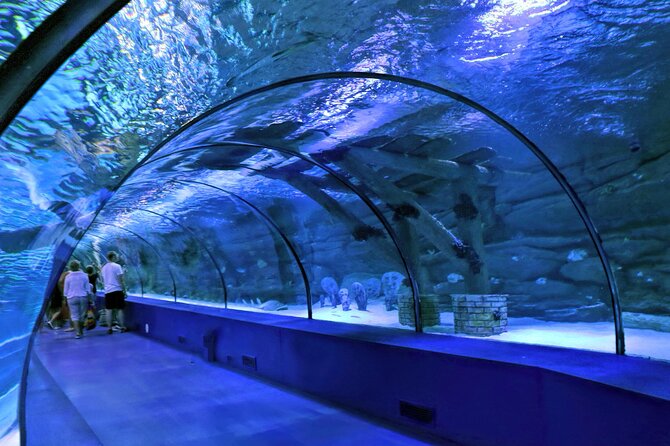 Antalya: Aquarium, Wax Museum & Combo Package Options - The shark plane wreck is the aquarium’s family highlight