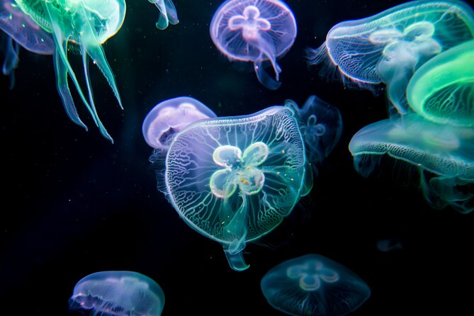 Antalya: Aquarium, Wax Museum & Combo Package Options - Snow World and the Ice Museum change the pace