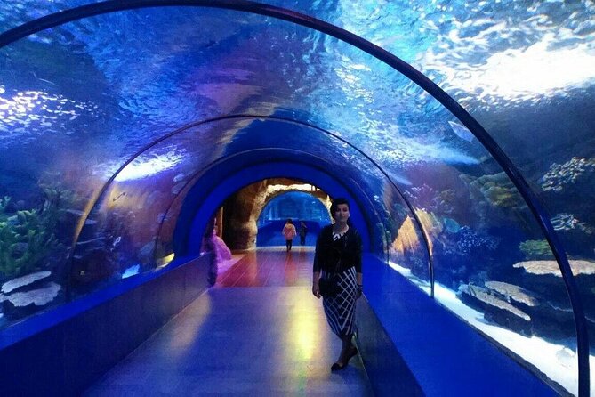 Antalya: Aquarium, Wax Museum & Combo Package Options - WildPark adds reptiles, insects, and tropical color