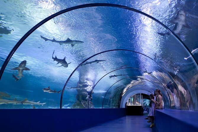 Antalya: Aquarium, Wax Museum & Combo Package Options - Oceanride XD Cinema is an optional screen-based stop