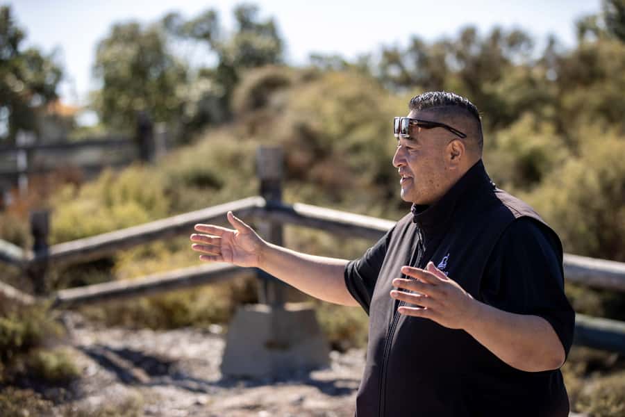 Auckland: Hobbiton and Rotorua Day Tour including Te Puia - Should you book it?