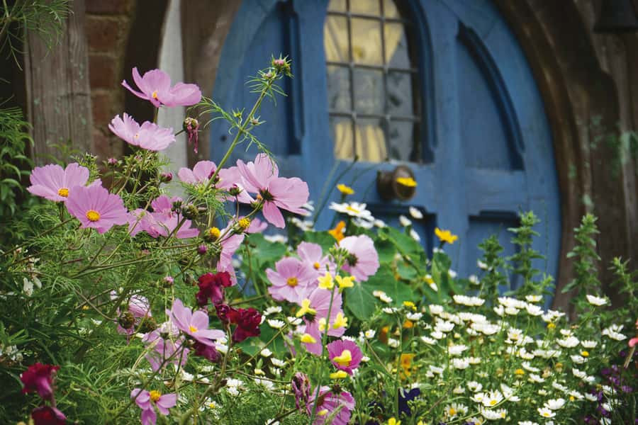 Auckland: Hobbiton and Rotorua Day Tour including Te Puia - Hobbiton: beyond the famous round doors