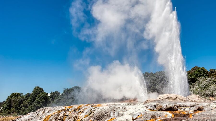 Auckland: Hobbiton and Rotorua Day Tour including Te Puia - The guides make a long day easier