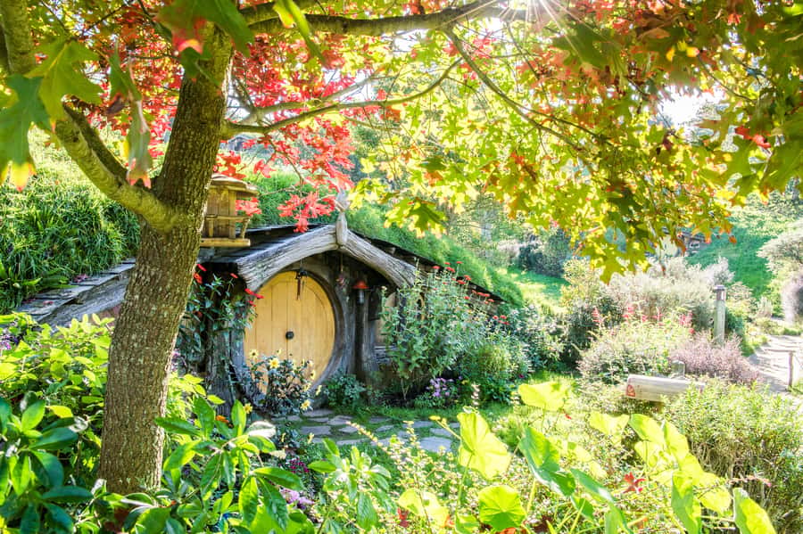 Auckland: Hobbiton Movie Set Tour with Lunch - Key points at a glance