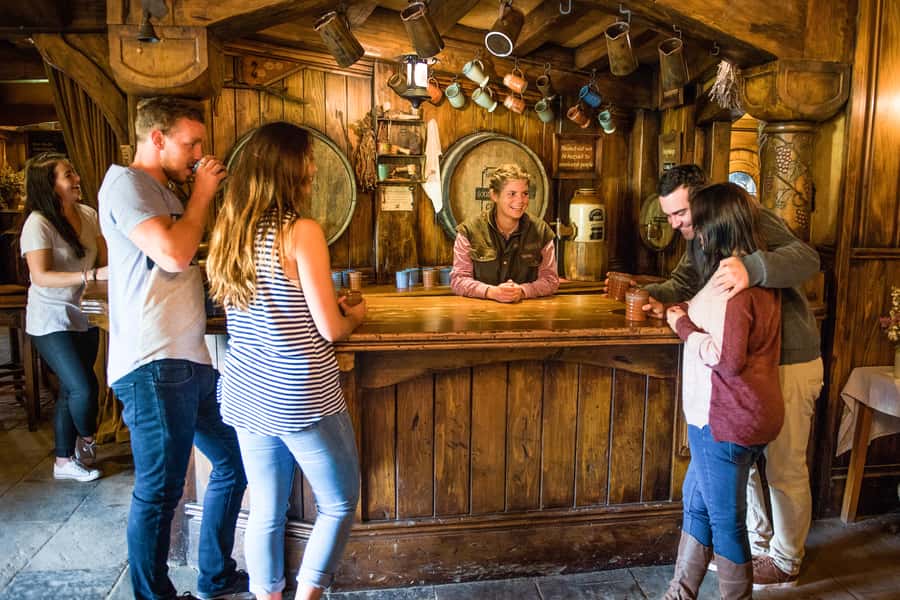 Auckland: Hobbiton Movie Set Tour with Lunch - The guides make a real difference
