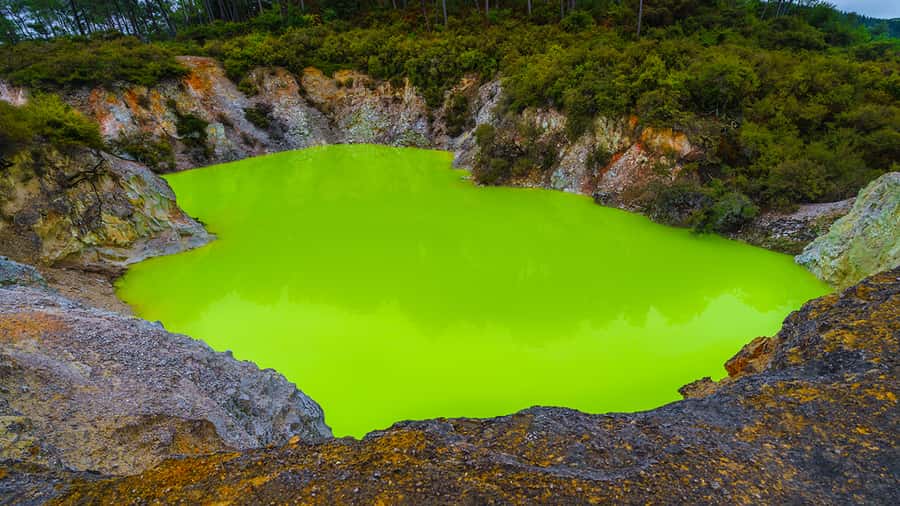Auckland: Hobbiton, Rotorua and Wai-O-Tapu Day Tour - Rotorua highlights in a tight window