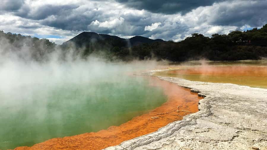 Auckland: Hobbiton, Rotorua and Wai-O-Tapu Day Tour - Is $256 a good value?