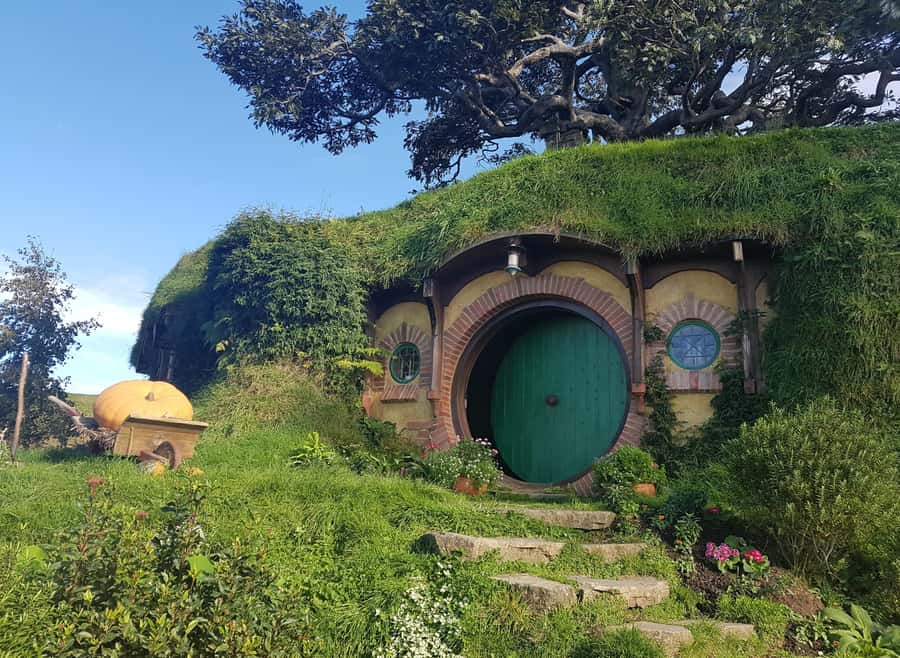 Auckland: Hobbiton, Rotorua, Waiotapu and Waitomo 3-Day Tour - Te Puia combines geothermal sights and a full lunch