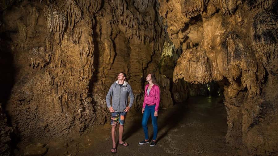Auckland: Hobbiton, Waitomo Caves, and Rotorua 1-Way Tour - Practical ways to make the day easier