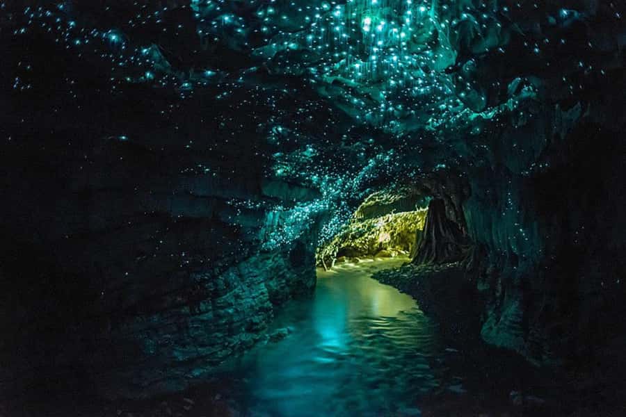Auckland: Hobbiton & Waitomo Glow Worm Caves Private Tour - Returning to Auckland after dark