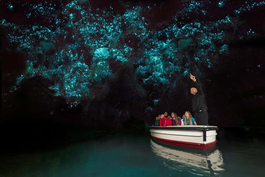 Auckland: Hobbiton & Waitomo Glow Worm Caves Private Tour - Who will get the most from this tour