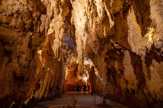 Auckland to Rotorua, Hobbiton and Waitomo 1 Way Small Group Tour - A quick Rotorua introduction before hotel drop-off