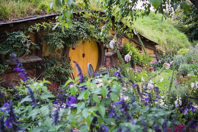 Auckland to Rotorua via Hobbiton Small Group Tour (One Way) - Luggage, children, and practical comfort